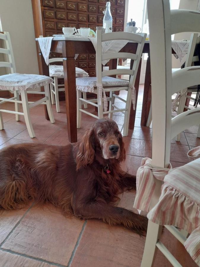 Tenuta Degli Angeli Rossi Асті Екстер'єр фото