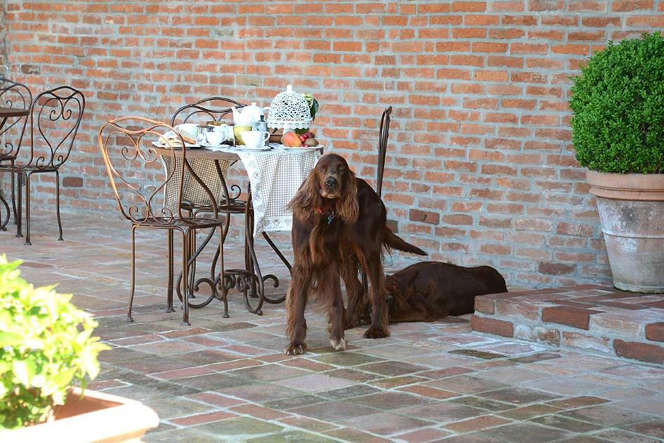 Tenuta Degli Angeli Rossi Асті Екстер'єр фото